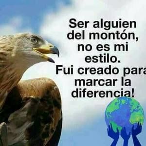 Meet your Posher, Edwin